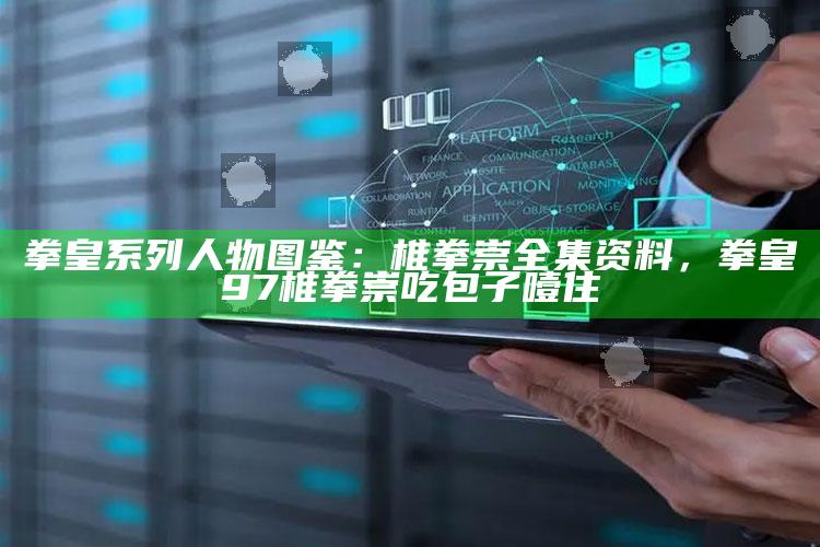拳皇系列人物图鉴：椎拳崇全集资料，拳皇97椎拳崇吃包子噎住
