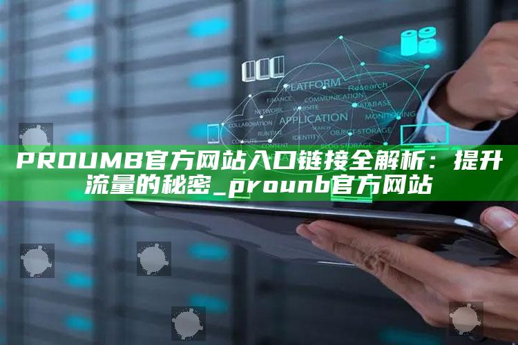 PROUMB官方网站入口链接全解析：提升流量的秘密_prounb官方网站