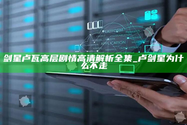 剑星卢瓦高层剧情高清解析全集_卢剑星为什么不走