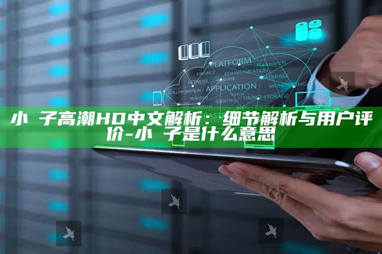 小峓子高潮HD中文解析：细节解析与用户评价-小籹子是什么意思