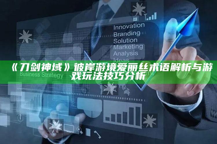 《刀剑神域》彼岸游境爱丽丝术语解析与游戏玩法技巧检视