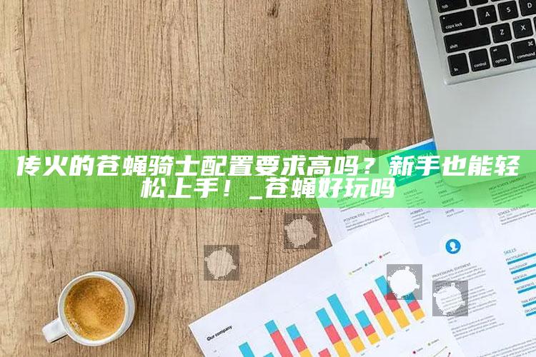 传火的苍蝇骑士配置要求高吗？新手也能轻松上手！_苍蝇好玩吗